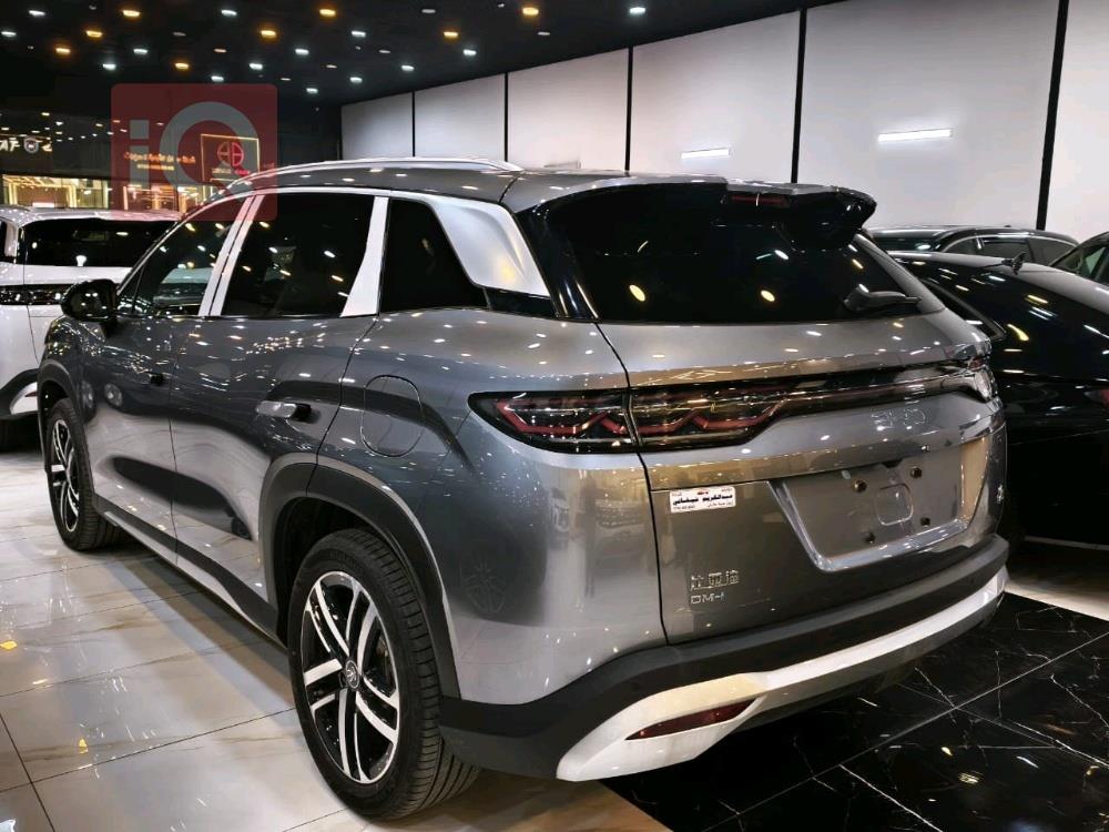 بي واي دي سونغ L DM-i